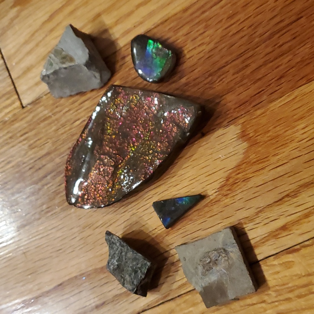 Ammolite fossil lot - Picture 12 of 12